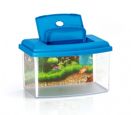 10635 Acuario de plástico rígido rectangular 3L con tapa 22x16x14 cm