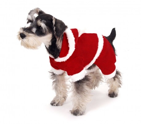 107443 Conjunto de PAPÁ NOEL con gorrito ideal para perros pequeños 3 botones