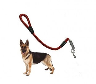 Correa Empuñadura NYLON NEGRA 80 cm muelle para Perro,...